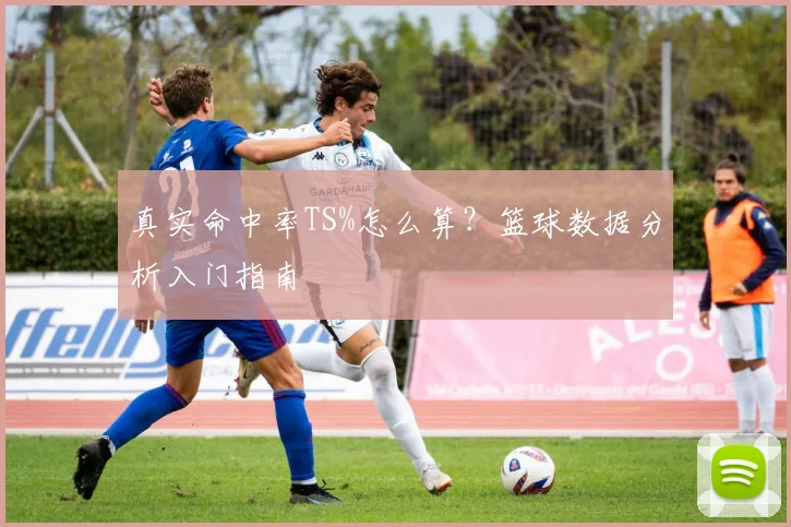 真实命中率TS%怎么算？篮球数据分析入门指南