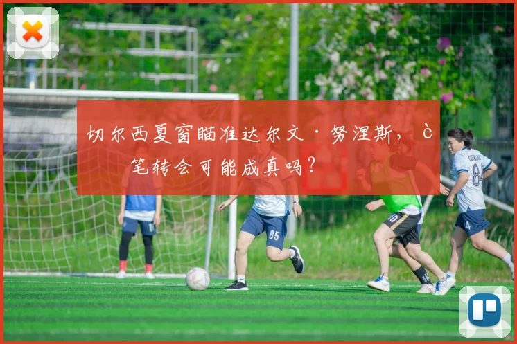 切尔西夏窗瞄准达尔文·努涅斯，这笔转会可能成真吗？