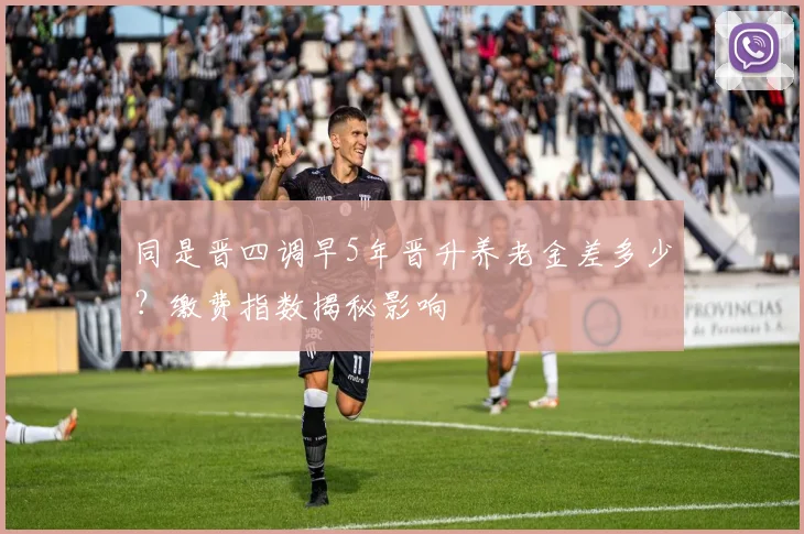 同是晋四调早5年晋升养老金差多少？缴费指数揭秘影响