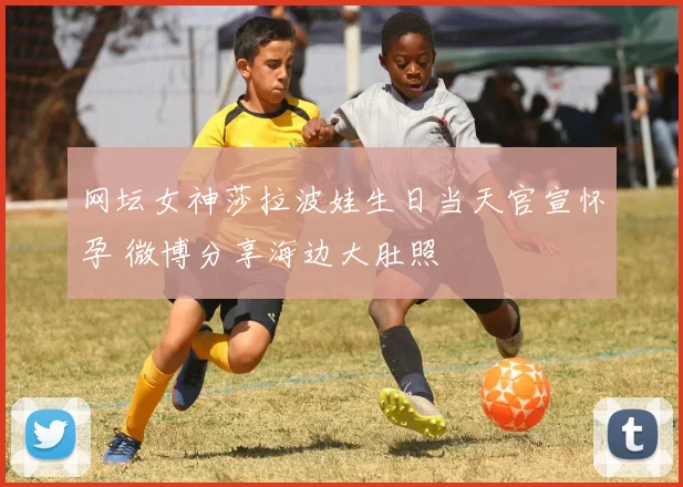 网坛女神莎拉波娃生日当天官宣怀孕 微博分享海边大肚照